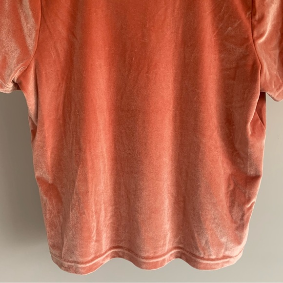 • [Madewell] Velvet Tie Neck Top • - Picture 9 of 10